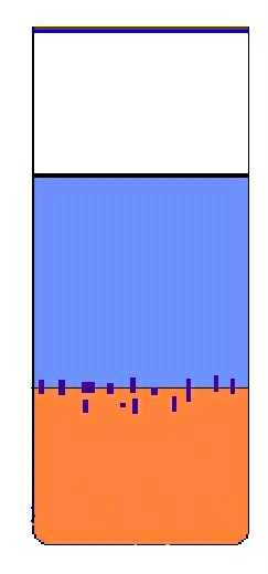 Diffusion